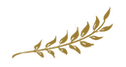 網站插圖4.png