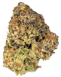 Purple Punch