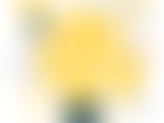 A Importância da Avaliação Neuropsicológica Cognitiva para Crianças e Adolescentes