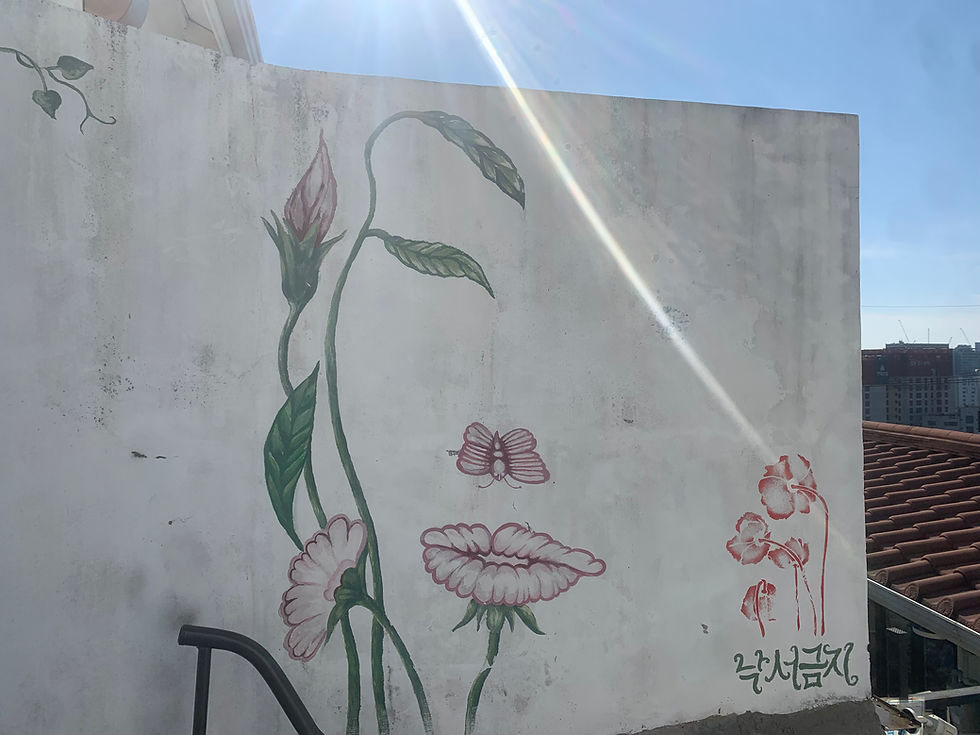 Ihwa Mural Village painting. Photo source: Gabriella