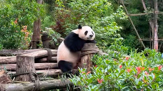 ICSA Webinar 20251209.png