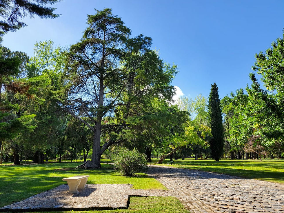 Parque Cementerio Arbolada