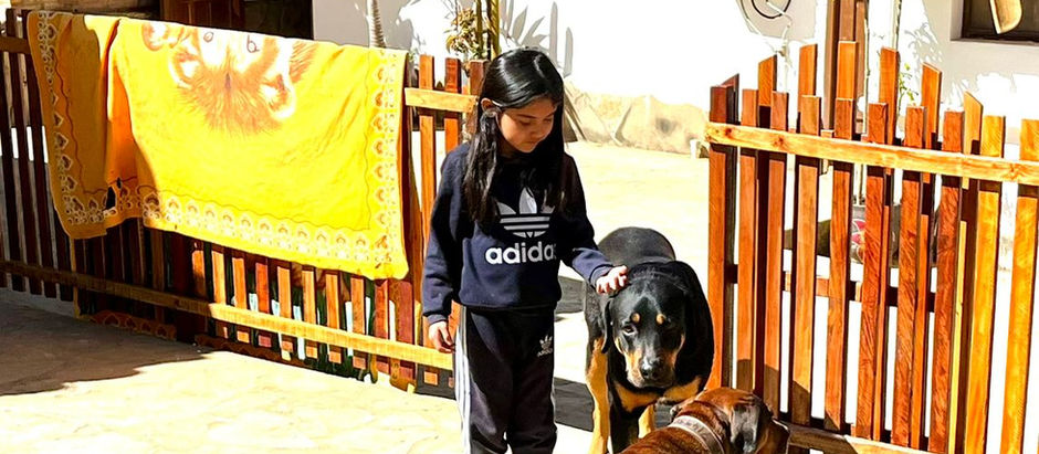Un gigante recibió una nueva VIDA