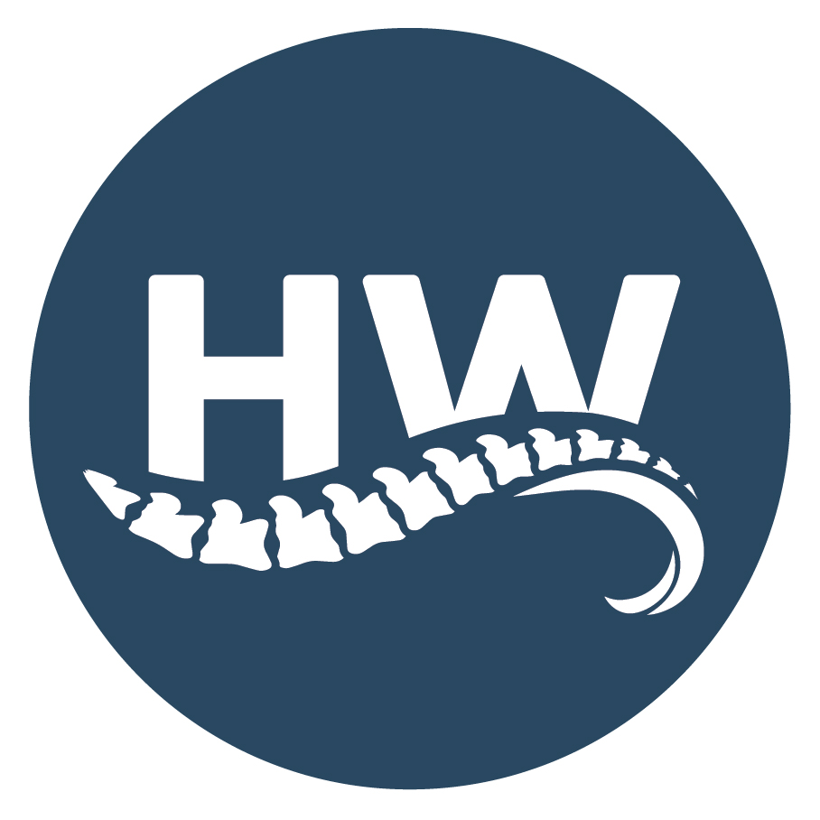 Writer: Health Wave Chiropractic