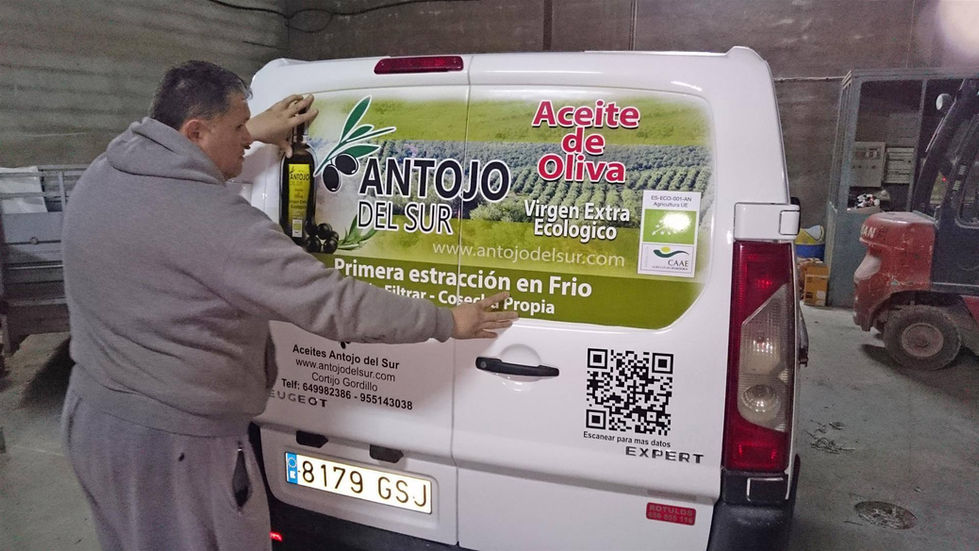 Viletras Signage since 1991