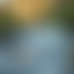 The Power of Mindfulness in Everyday Life