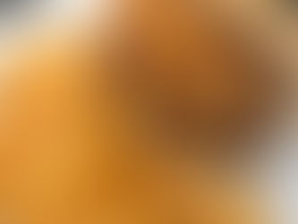 Monday Lunch Special (11/3)