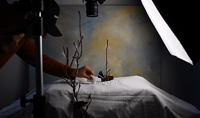 Stop_Motion_Uni_BZ.png