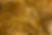 Maple-trees.jpg