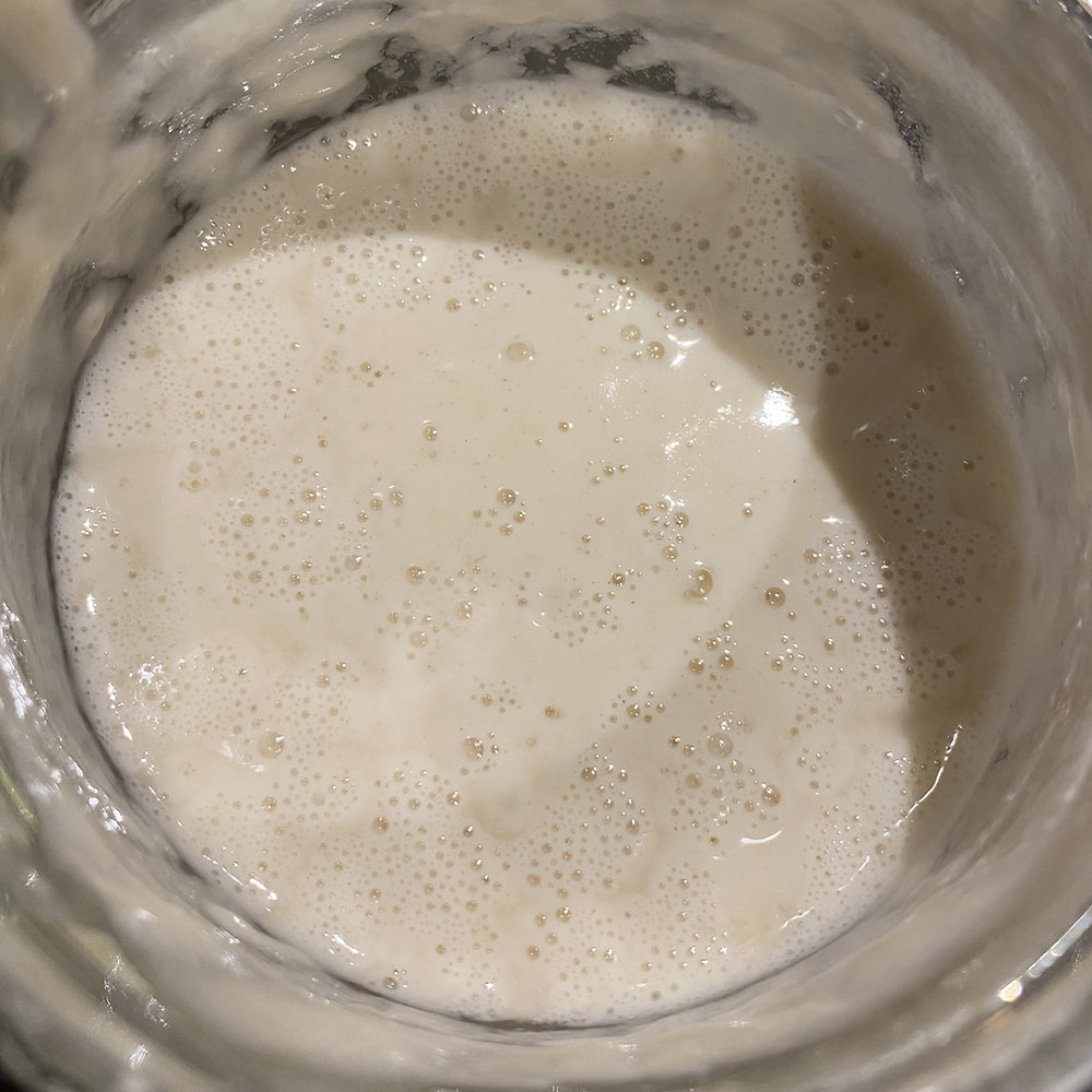 Sourdough visual data 6