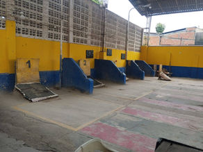 Escenario de Tejo y Mini Tejo Juegos Fenasies 2026