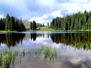 Help ESWA Support Wilderness!