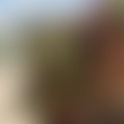 Categoria 3/8: Tipos de Elementos de Comunicação Visual Gráfica