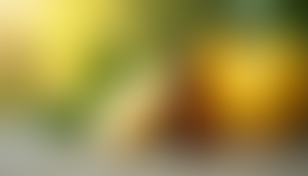 Discover the Lemon Oil Health Benefits: A Natural Boost for Your Well-Being