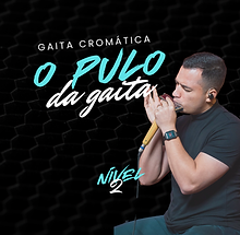 Capa Curso Gaita Pulo da Gaita 1000x1000.png