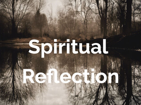 Reflection: November 30, 2024