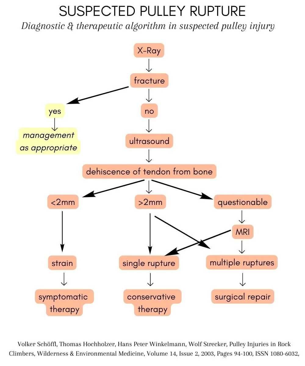 Demystifying Pulley Injuries in Rock Climbers