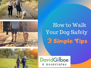 How to Walk Your Dog Safely: 3 Simple Tips
