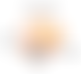 Carpal Tunnel: A Look Inside