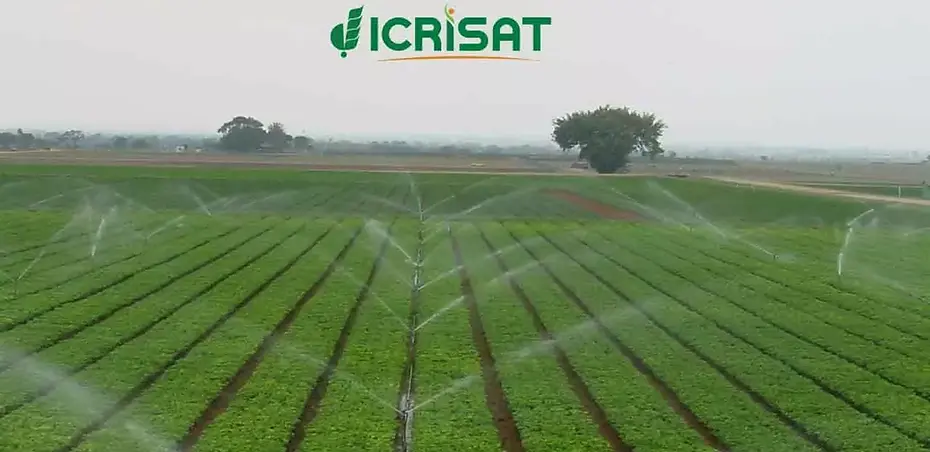1473740-icrisat.webp