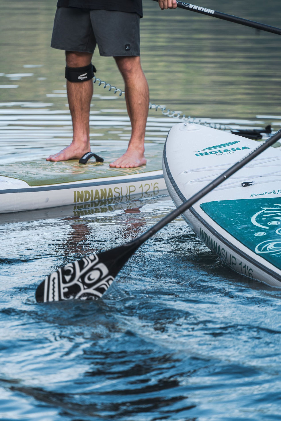 Miniature : Indiana Coil Leash SUP black