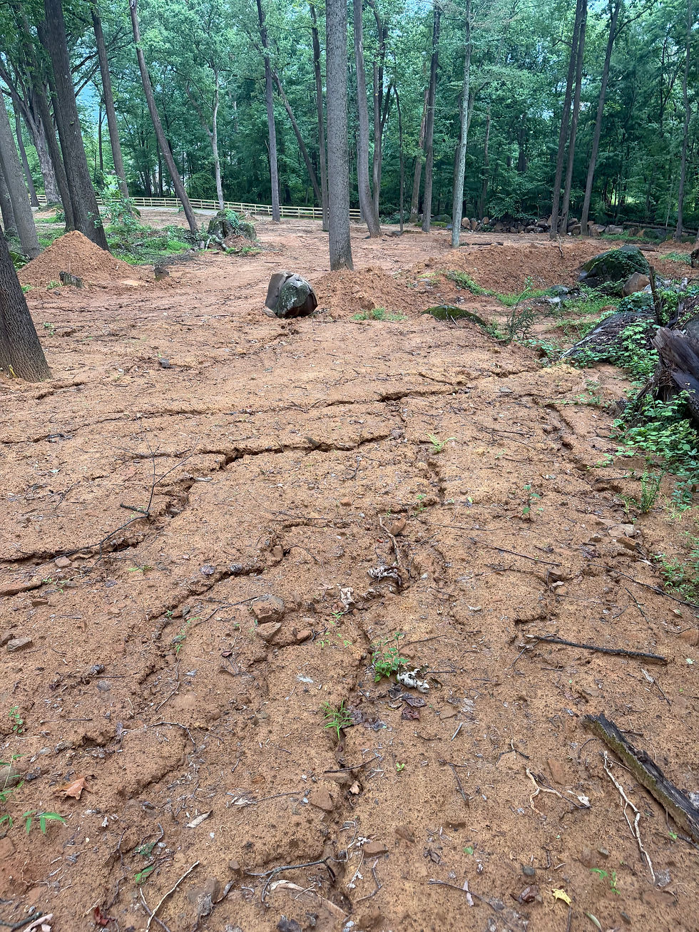 Getting Down and Dirty in the mud with 25 Hewitt Road