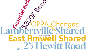 Upcoming Township Committee Meeting: Shared Services, 25 Hewitt, Audits, $800K Bond