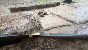 Another Day, another flood: Washout #7 at 25 Hewitt Road