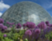 Mitchell Pk_Dome and Allium copy.jpg