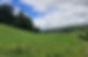 IMG-20220519-WA0003.jpg