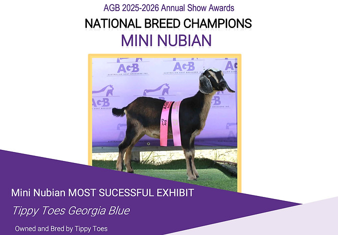 Breed Champions MNubian copy.jpg