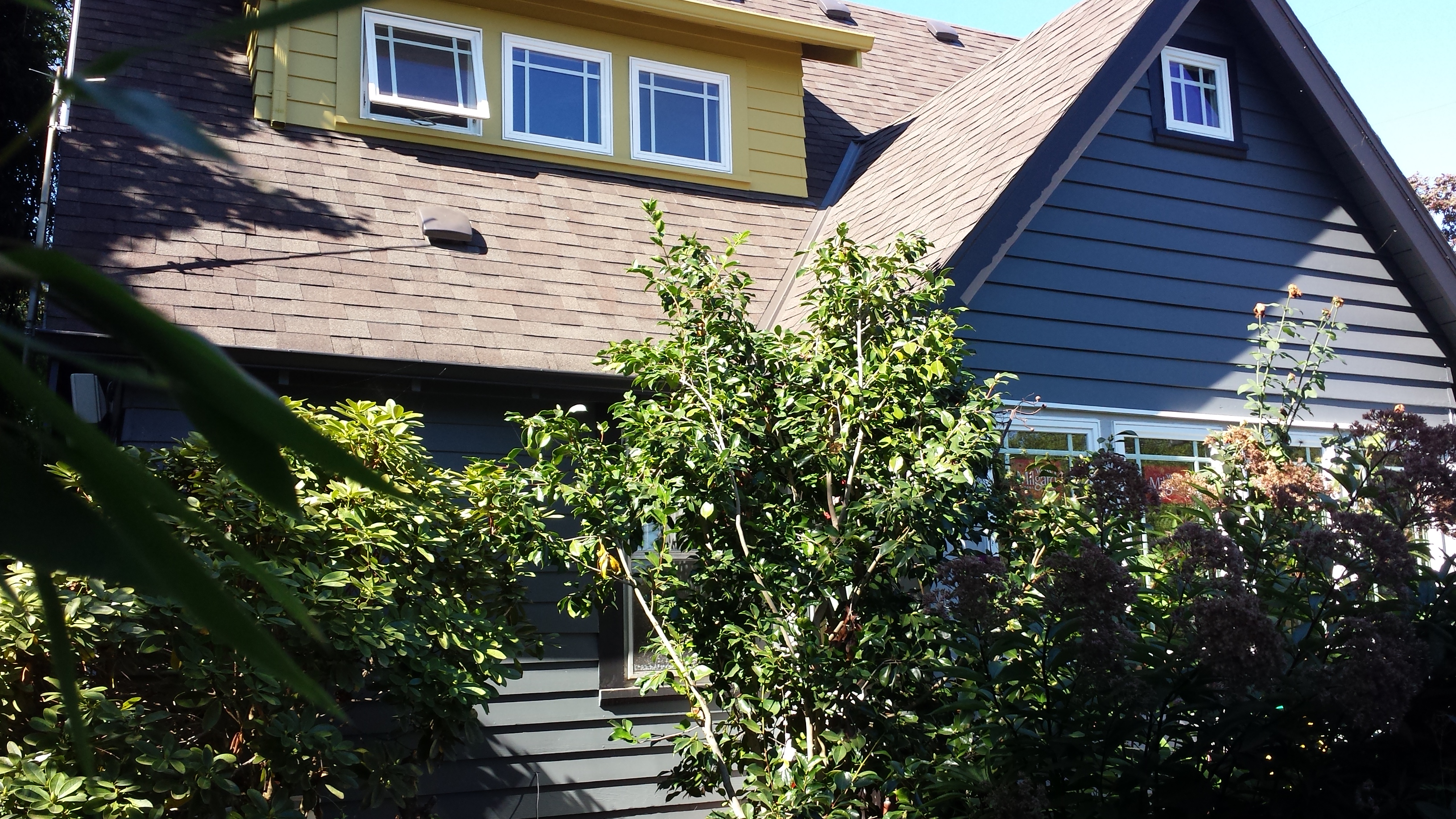 Residential Exterior Painting
