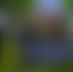 Ebonix | Black Lives Matter Rally Pack