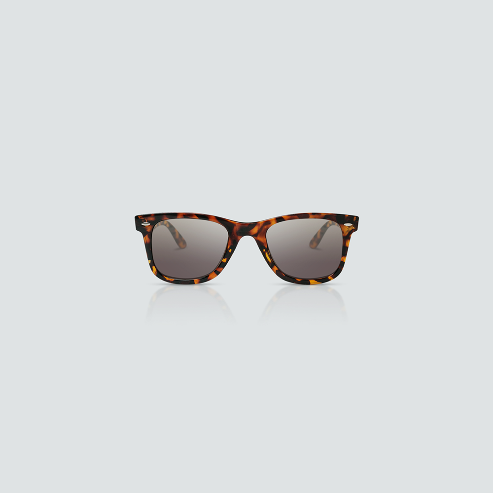 Rayban Style Print Glasses