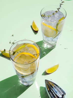 Winter-Gin Tonic 