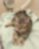 Home-Welcome-2.jpeg