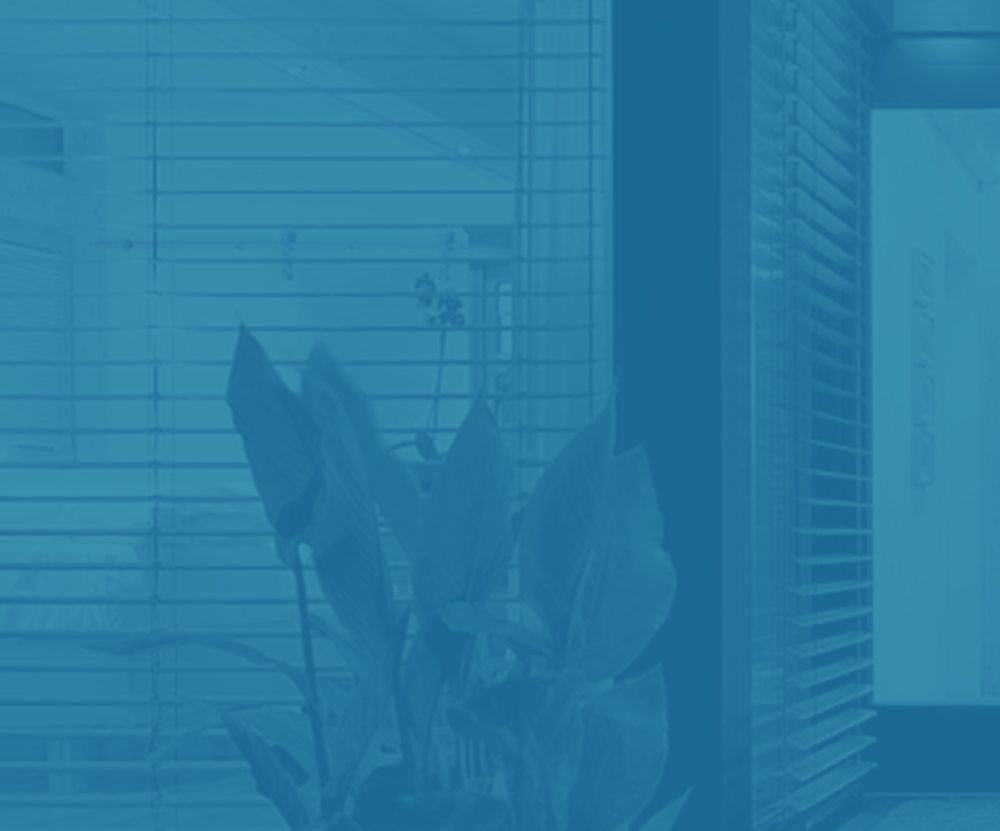Mattresses Near Me Hendersonville Boxdrop Hendersonville