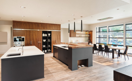 Custom TFL Panelized Kitchen