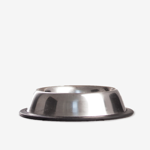 dogs-kinsealy-pet-store-dublin