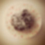 Chocolate Balls