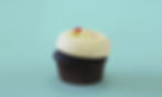 SUGAR-FREE CHOCOLATE VANILA