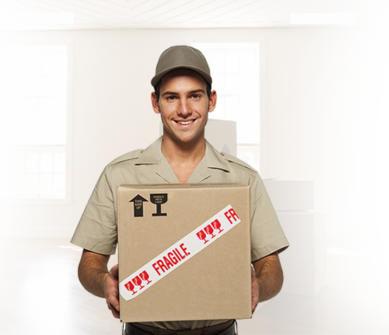 Hanse Logistics