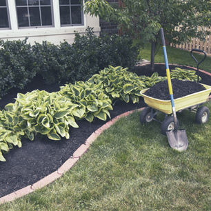 Landscaping companies near me