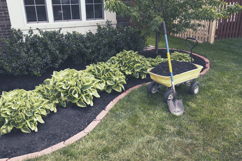 Switchback Colorado Landscape & Design is a full-service construction, horticulture and maintenance firm providing stunning landscape and lighting design, as well as lawn maintenance and management all year round. We proudly serve the Aurora, Brighton, Broomfield, Castle Pines, Castle Rock, Commerce City, Colorado Springs, Denver, Monument Springs, Northglenn, and Thornton areas.