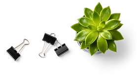 Socolant Image