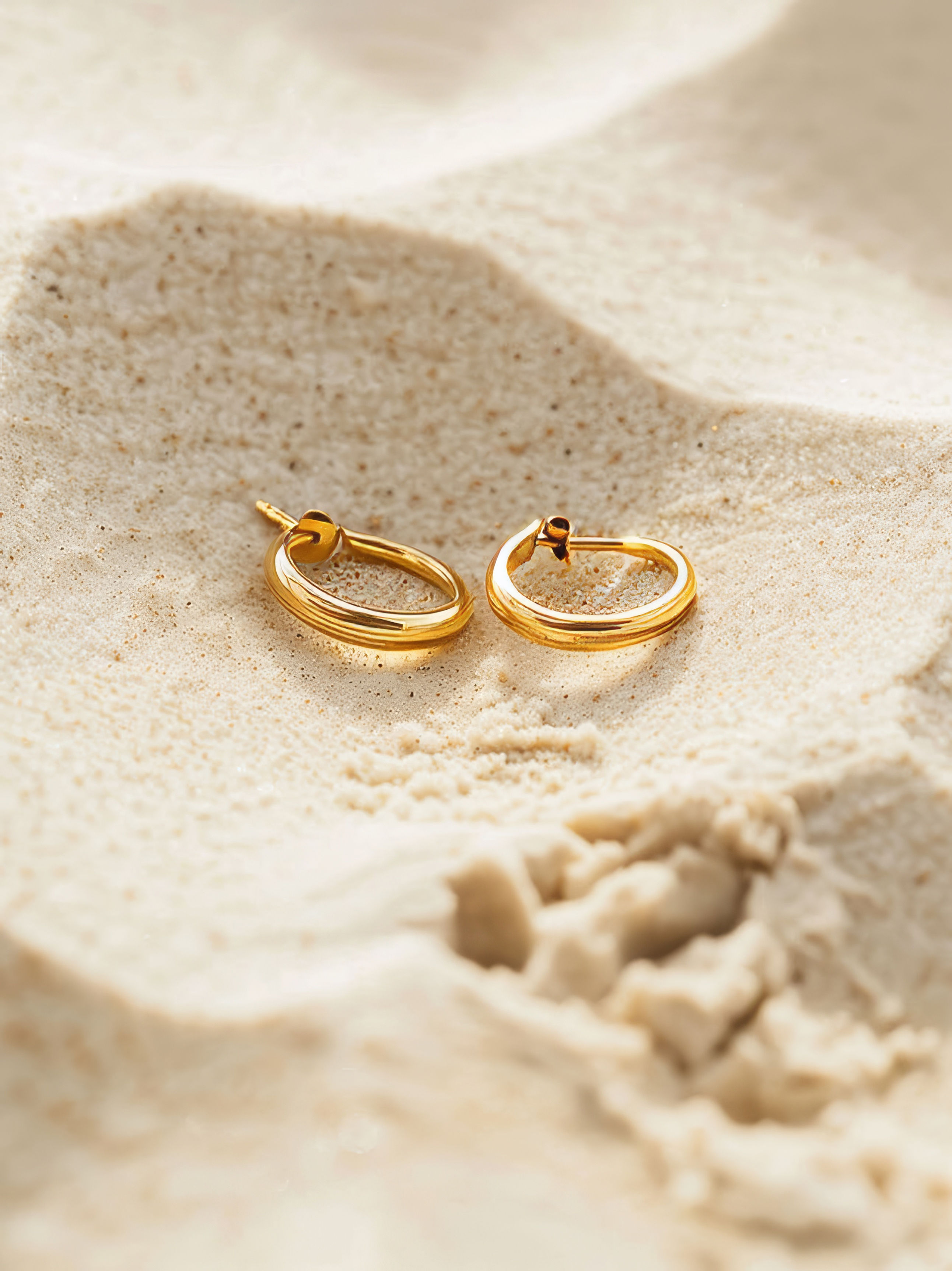 Golden Loop Earrings