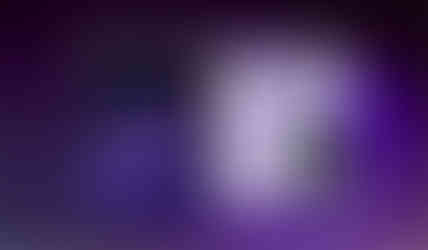 تحسين محركات البحث والإعلانات