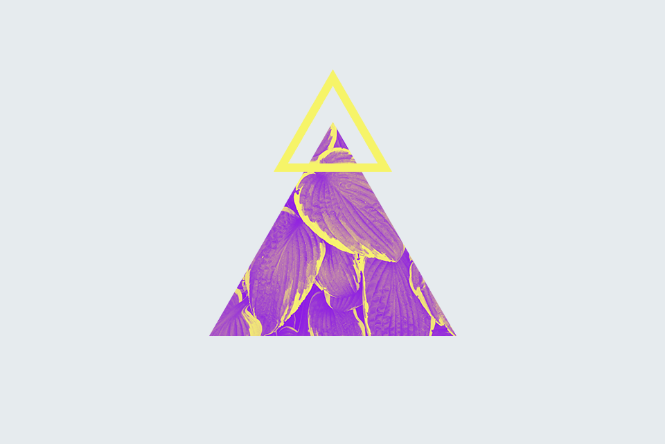 Project no.8