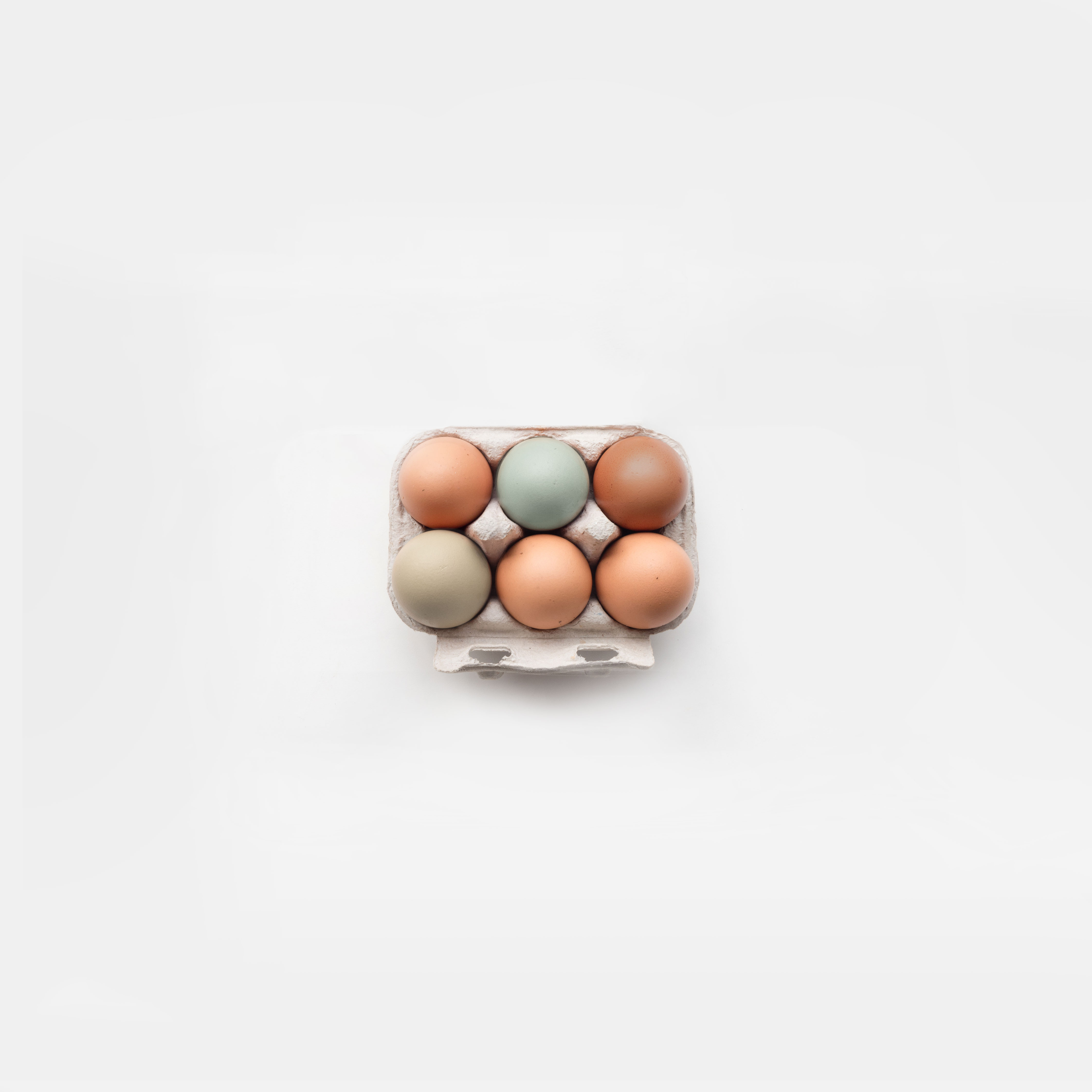 6 Organic Eggs