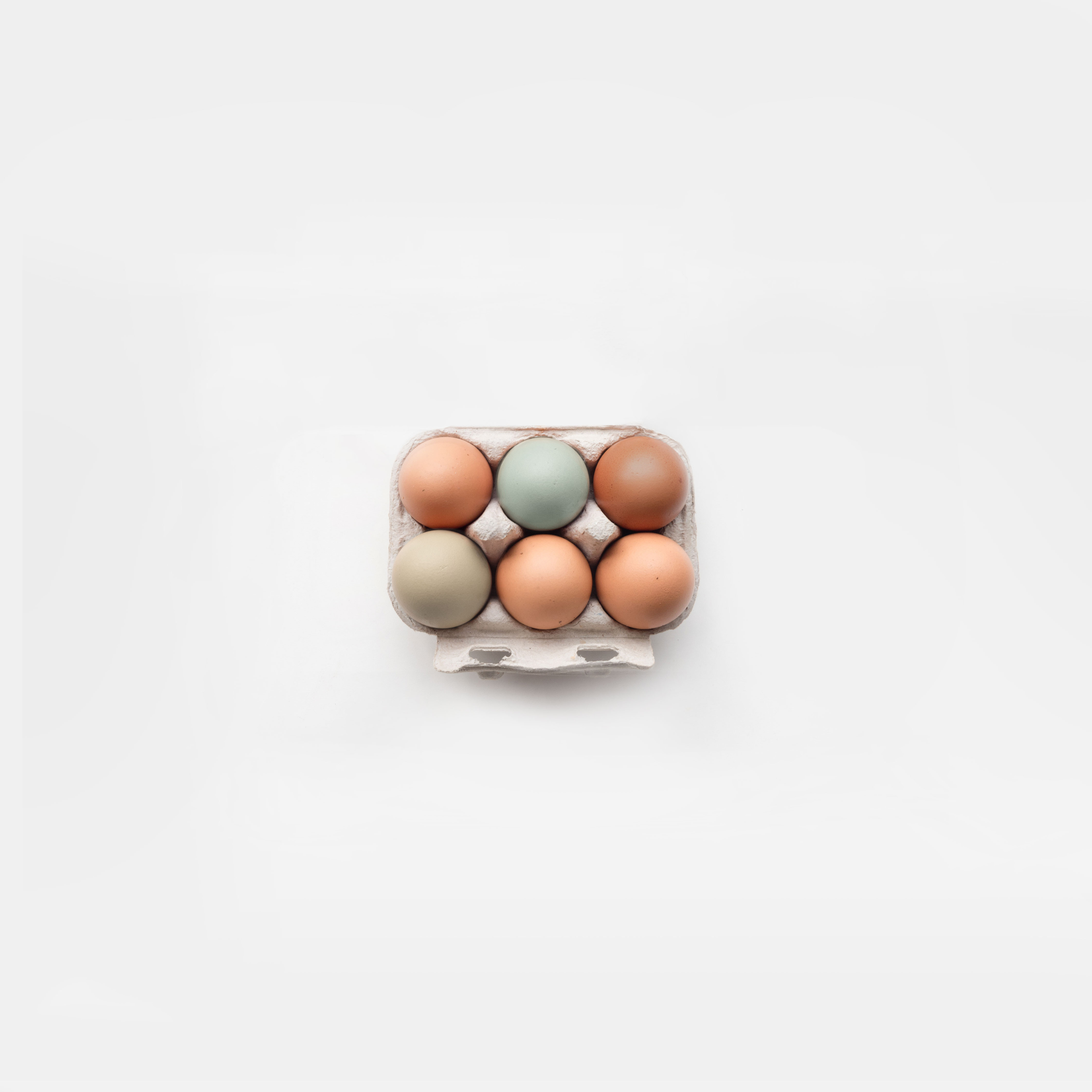 6 Bio-Eier